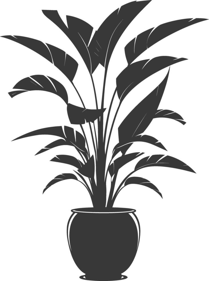 silhouette tropical plant in vase black color only vector