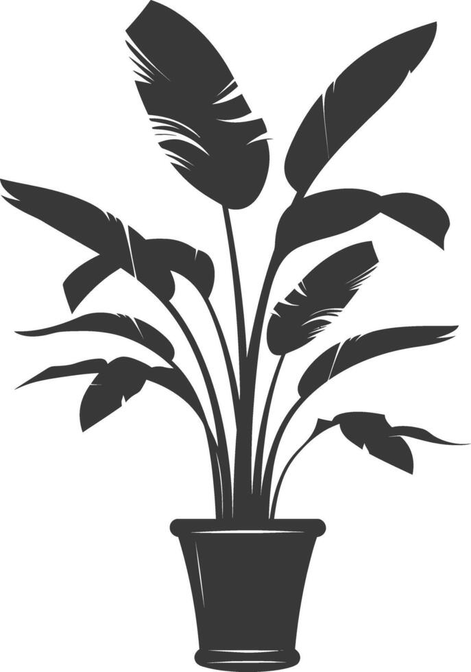 silhouette tropical plant in pot black color only vector
