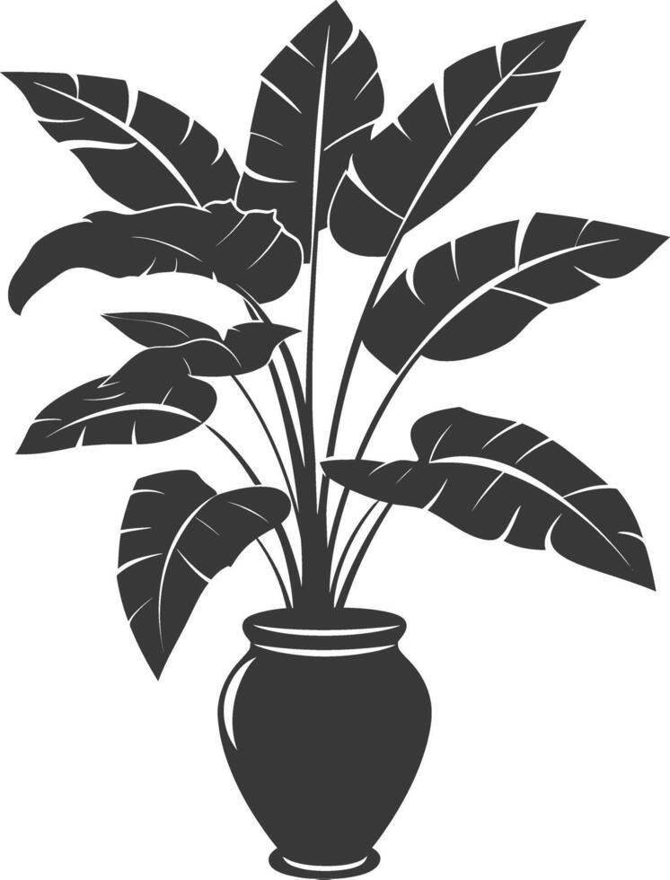 silhouette tropical plant in vase black color only vector