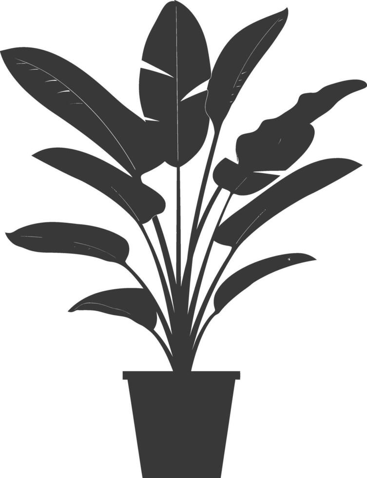 silhouette tropical plant in pot black color only vector