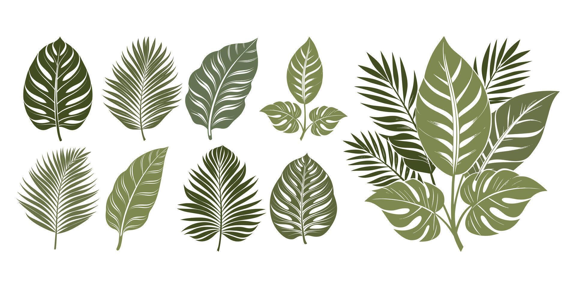 Set of silhouettes of tropical leaves and bouquets. Summer cover template. Design elements collection vector