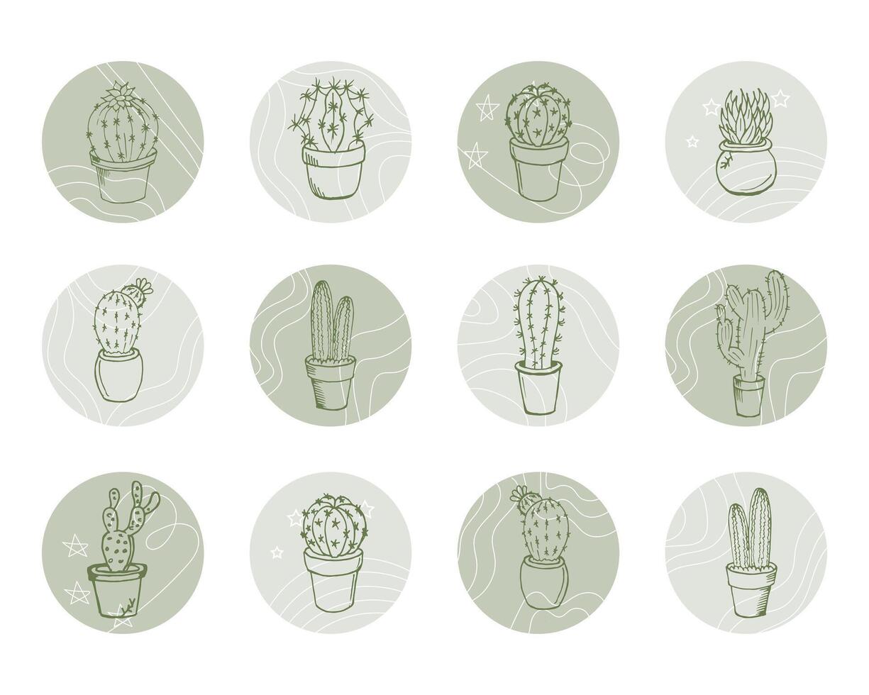 Set of round icons with contour cacti. Decor elements, templates vector