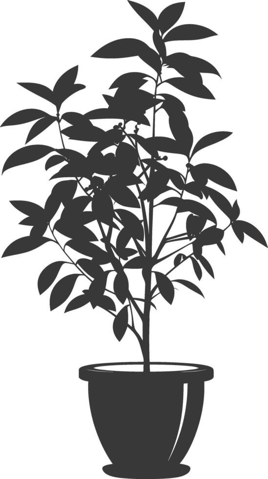 silhouette ornamental plants in pot full body black color only vector