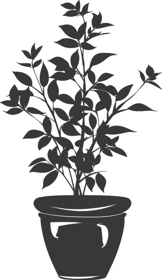 silhouette ornamental plants in pot full body black color only vector