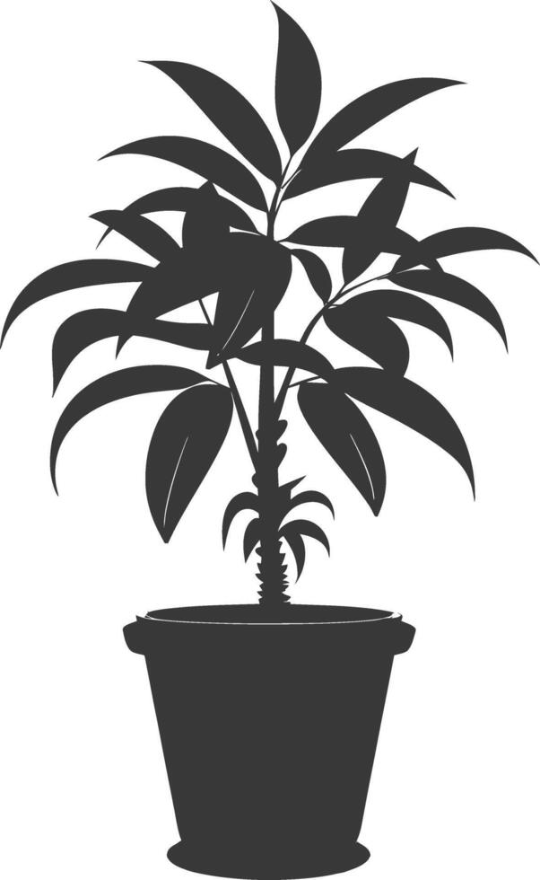 silhouette ornamental plants in pot full body black color only vector