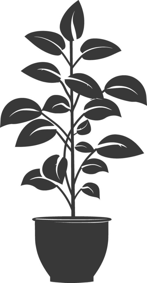 silhouette ornamental plants in pot full body black color only vector