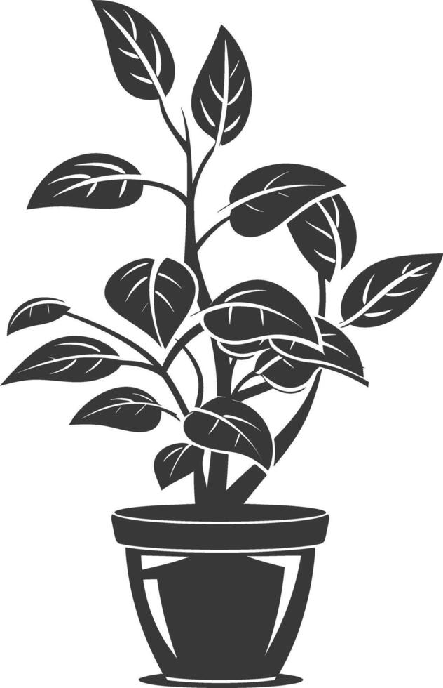 silhouette ornamental plants in pot full body black color only vector