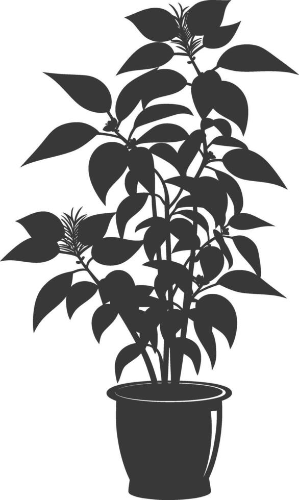 silhouette ornamental plants in pot full body black color only vector