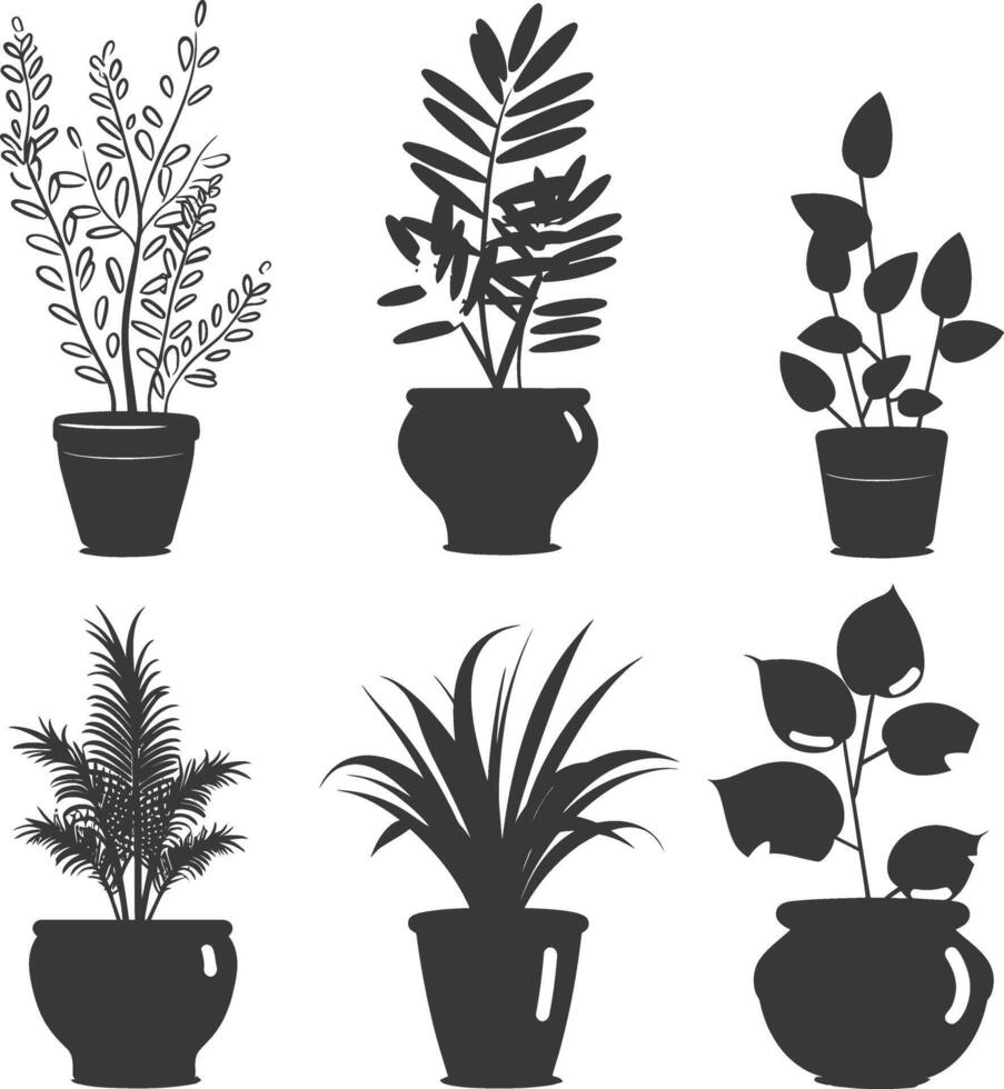 silhouette ornamental plants in pot full body black color only vector