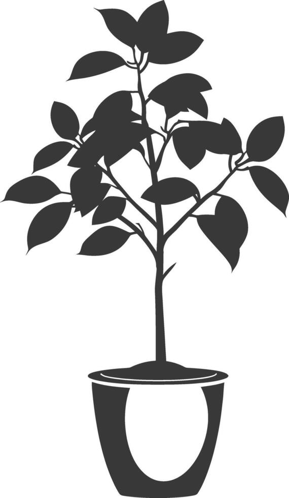 silhouette ornamental plants in pot full body black color only vector