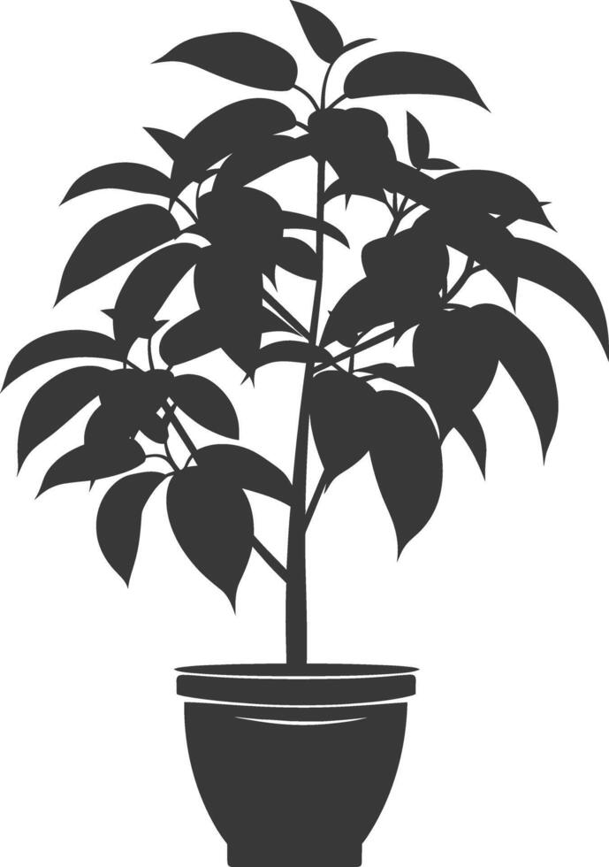 silhouette ornamental plants in pot full body black color only vector
