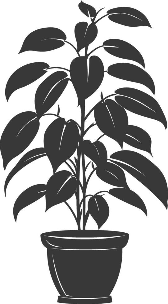 silhouette ornamental plants in pot full body black color only vector