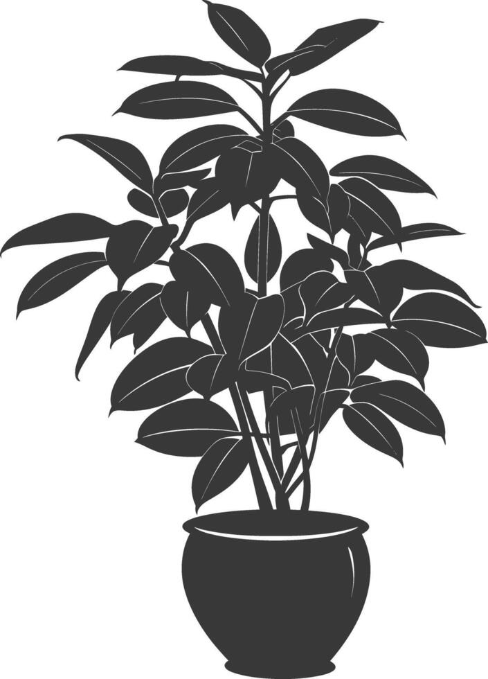 silhouette ornamental plants in pot full body black color only vector
