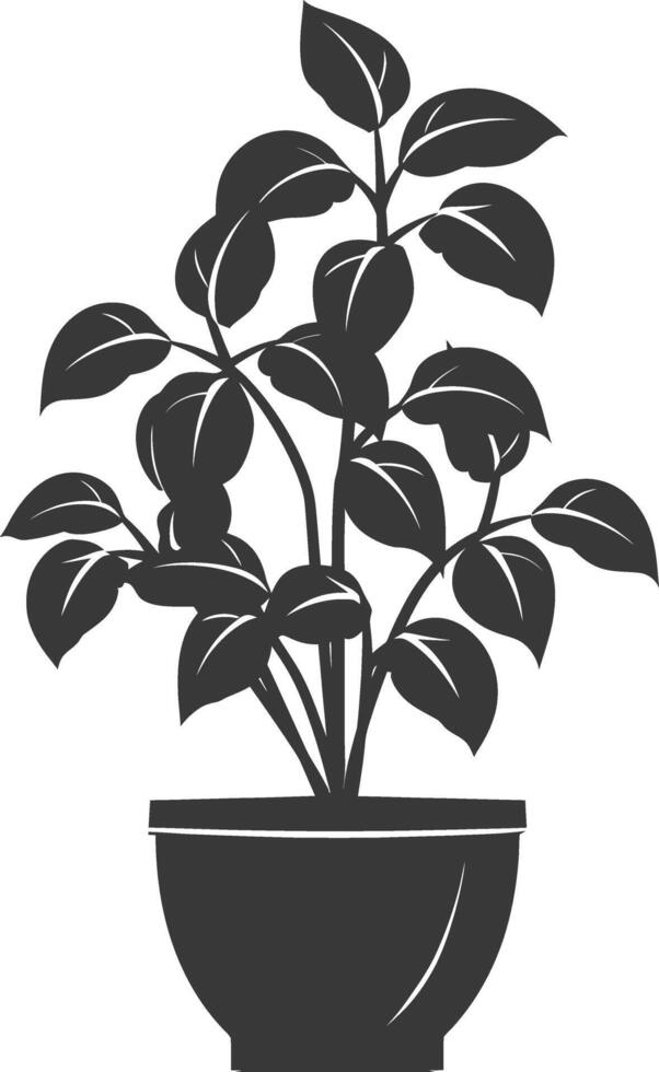 silhouette ornamental plants in pot full body black color only vector