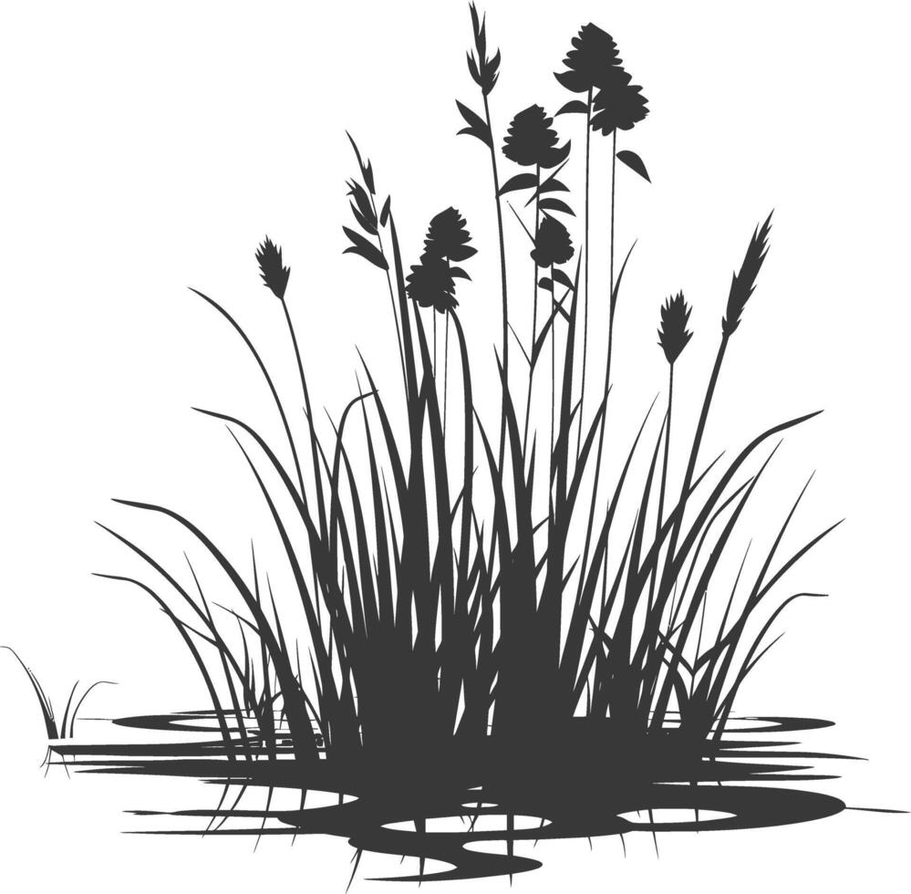 silhouette swamp coastal plants black color only vector