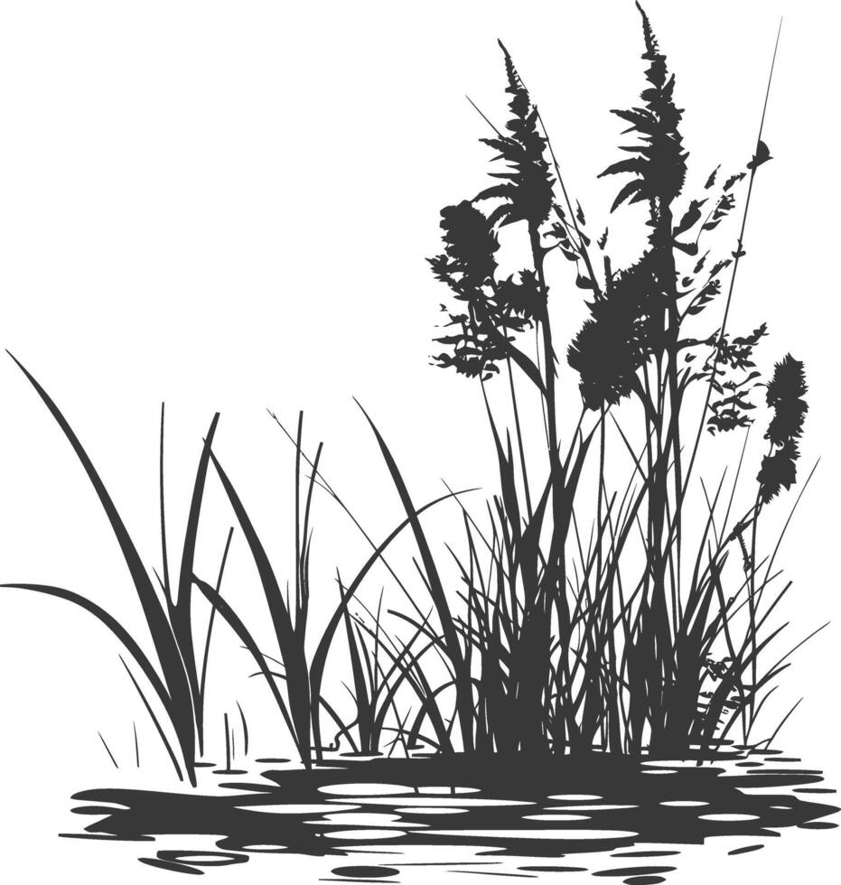 silhouette swamp coastal plants black color only vector
