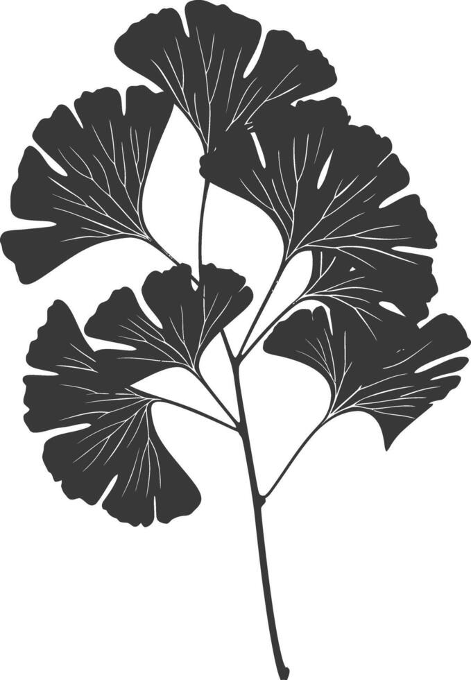silhouette ginko leaf black color only vector