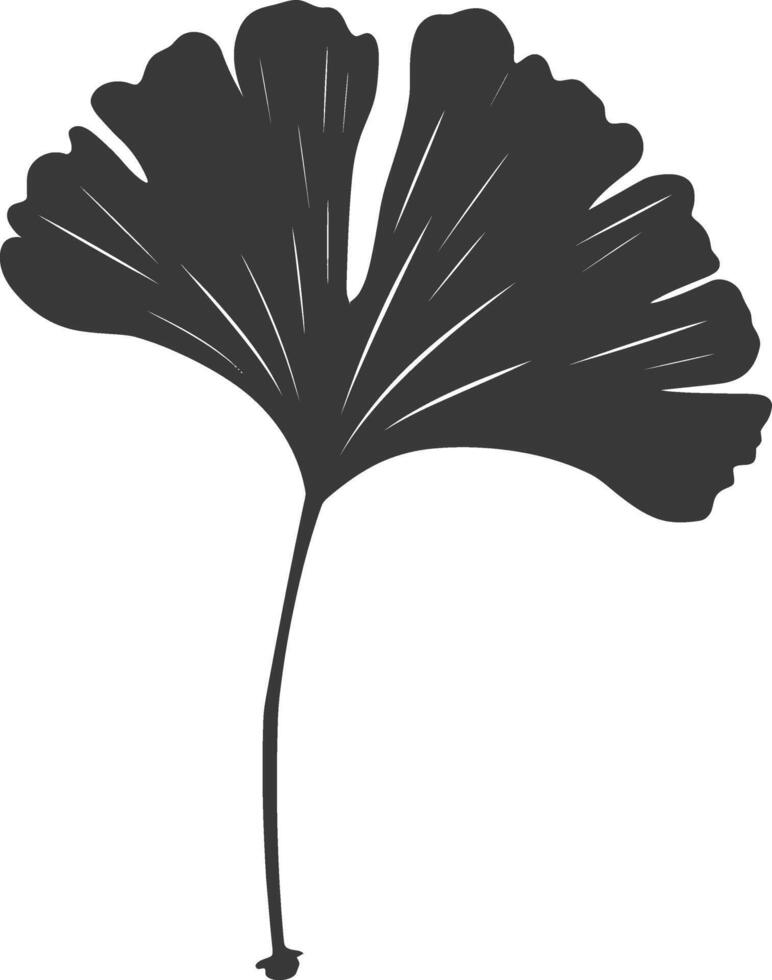 silhouette ginko leaf black color only vector