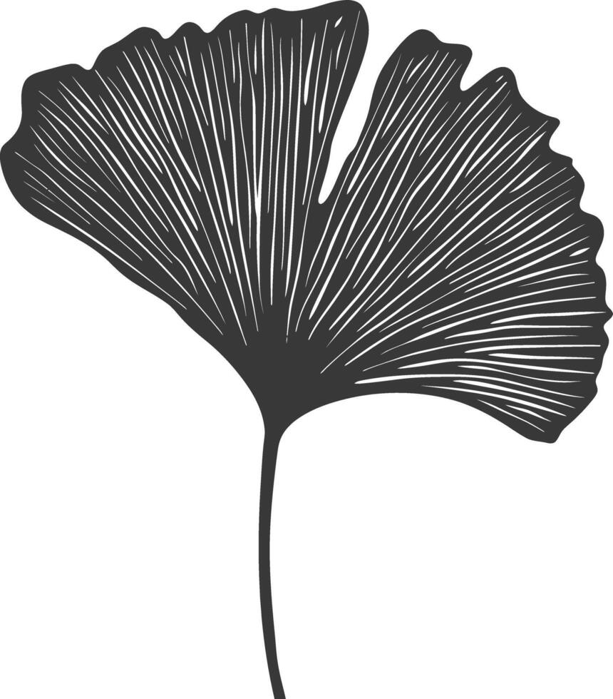 silhouette ginko leaf black color only vector
