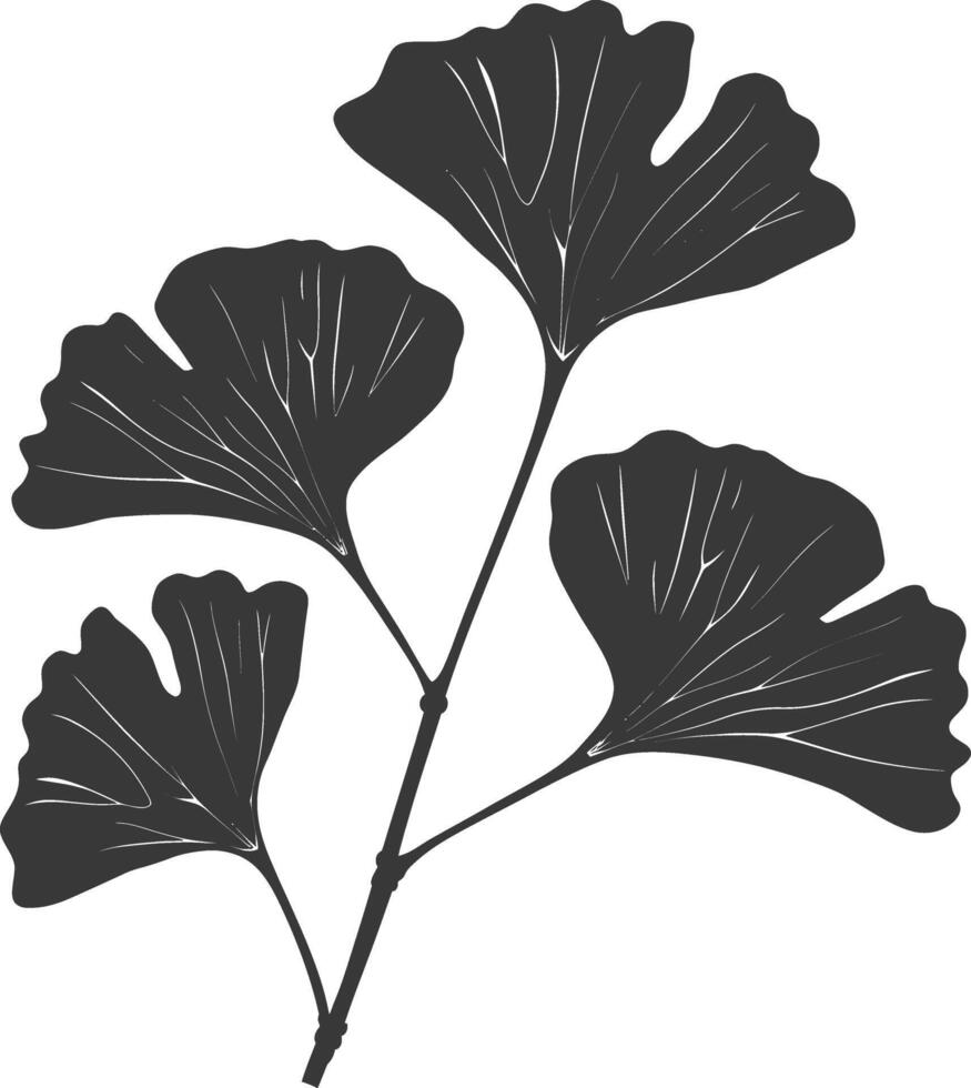 silhouette ginko leaf black color only vector