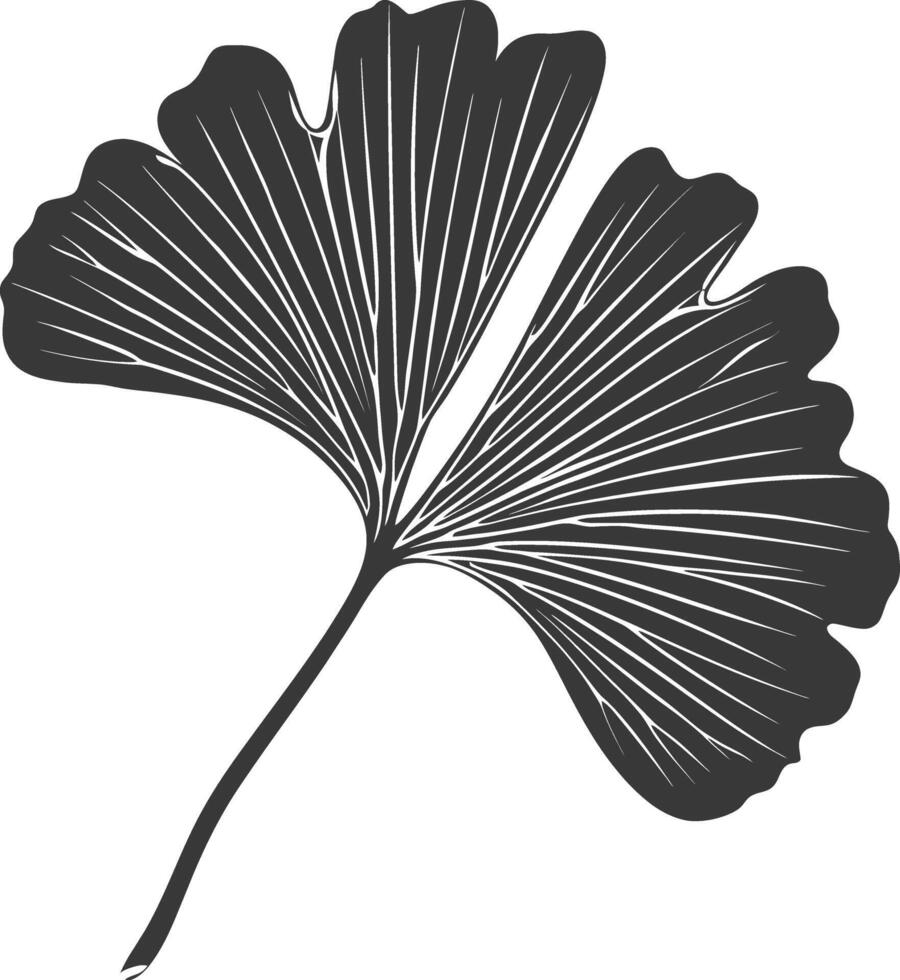 silhouette ginko leaf black color only vector