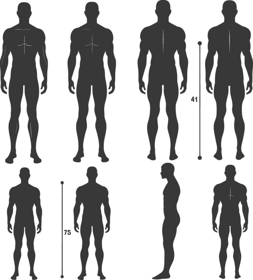silhouette man mannequin with poses full body black color only vector