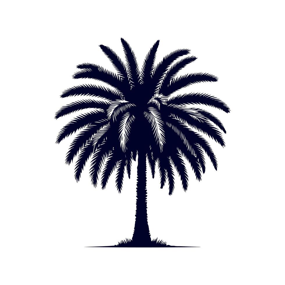 Palm tree silhouettes Clip art isolated illustration on white background vector