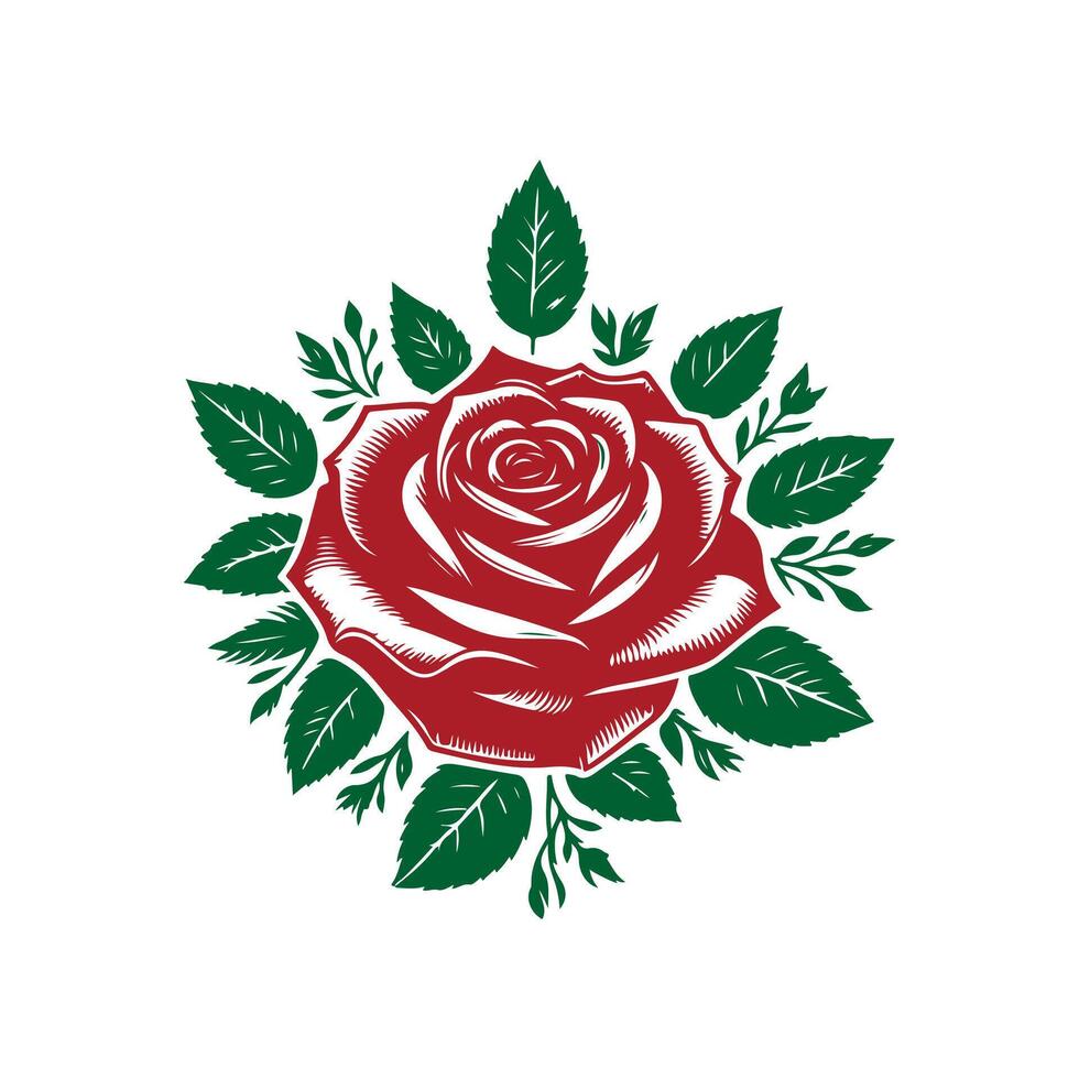 Rose Clip art isolated illustration on white background vector
