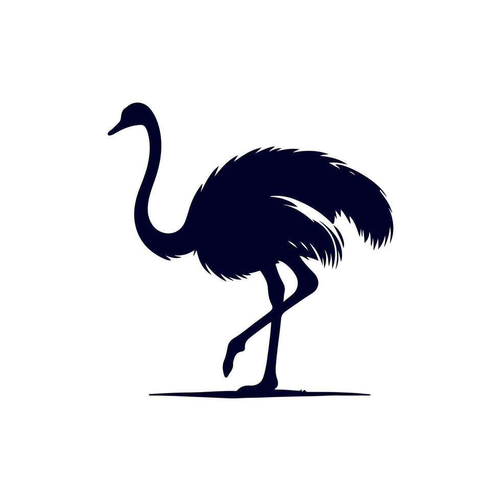 Ostrich bird silhouette Clip art isolated illustration on white background vector