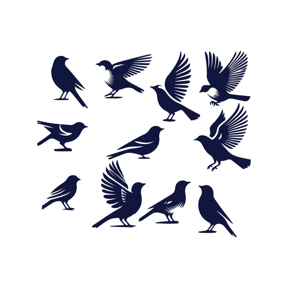 bird silhouette Clip art isolated illustration on white background vector