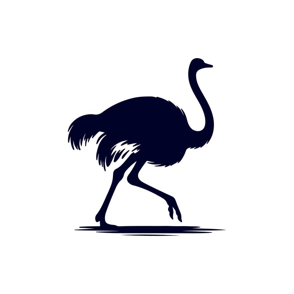 Ostrich bird silhouette Clip art isolated illustration on white background vector