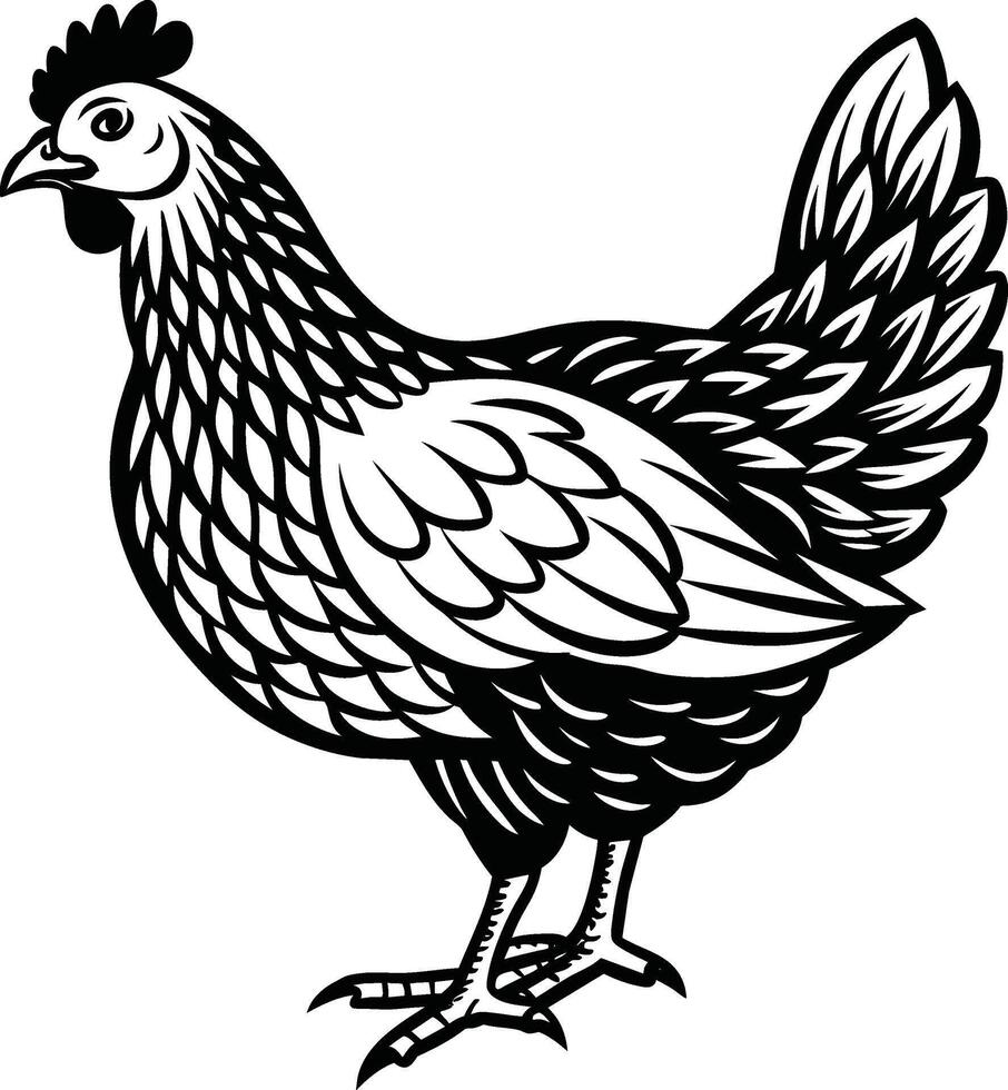 Intricately detailed line art of a chicken, ideal for use in print and digital media vector