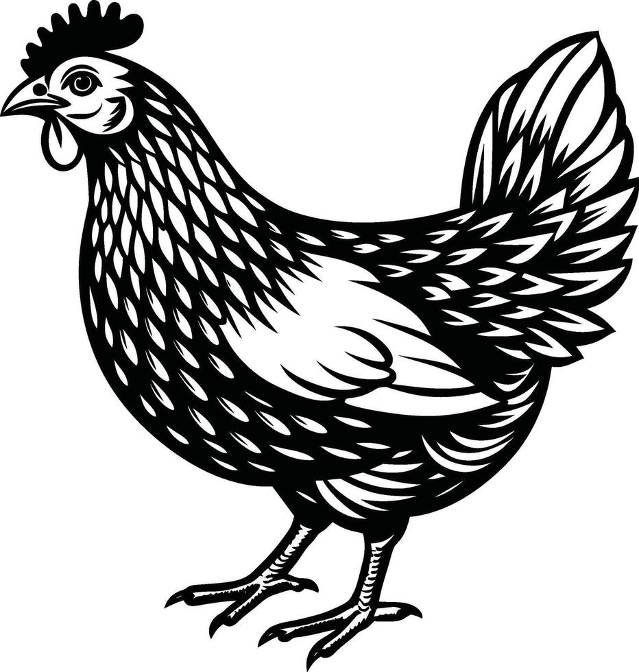 Chicken hen poultry bird farm animal sketch vector