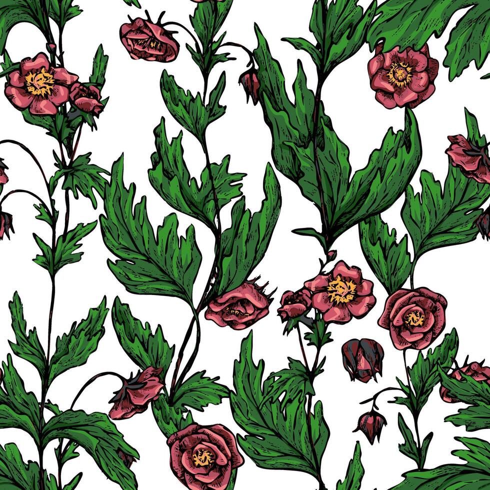 Geum Rivale flowers, wild plants ornament. Hand drawn vintage seamless pattern. Botanical abstract floral background. vector