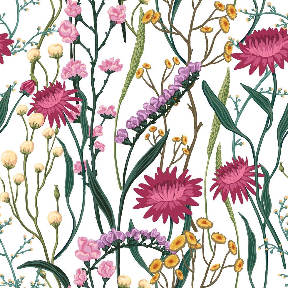 Wild flowers hand drawn seamless pattern. Abstract botanical sketches of field plants. Vintage floral background. vector