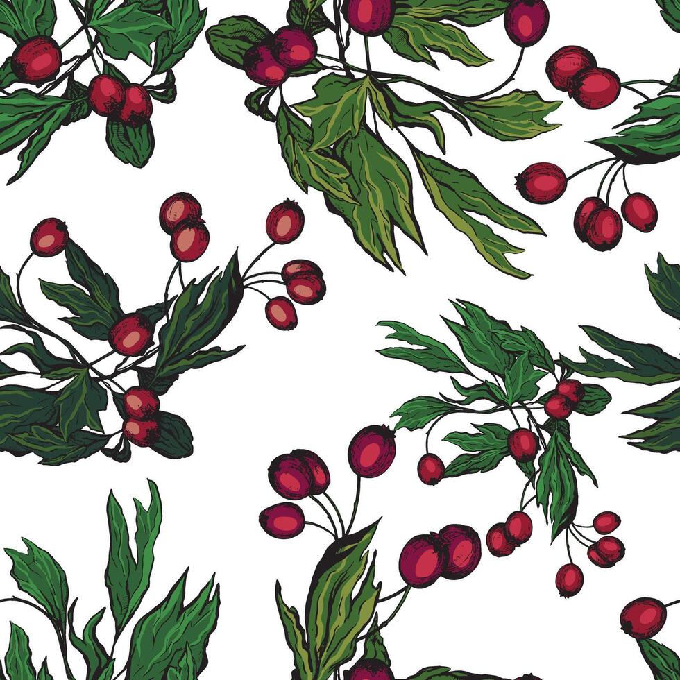 Rosehip branch hand drawn seamless pattern. Botanical ornament in sketch style. vector