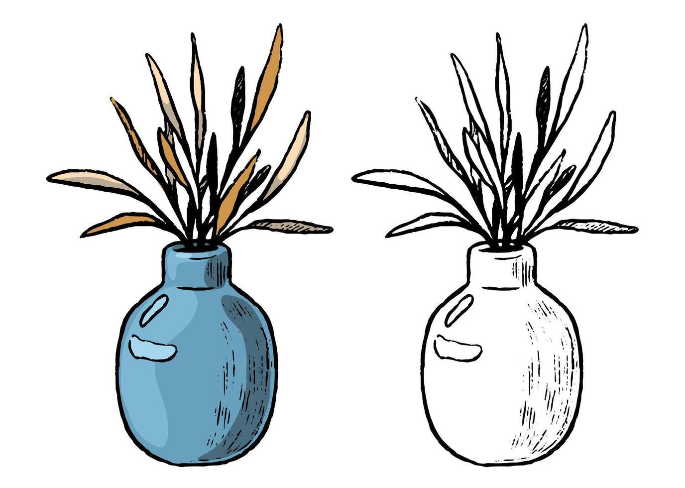 Decorative vase with plant. Hand drawn illustration set of contour and color drawings isolated on white. Home decoration sketch. vector