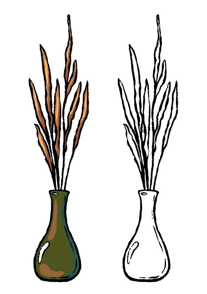 Decorative vase with plant. Hand drawn illustration set of contour and color drawings isolated on white. Home decoration sketch. vector