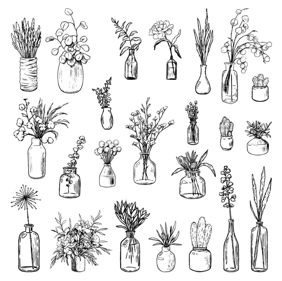 Collection of varied vases, bottles and jars of flowers and plants. Hand drawn illustration vintage botanical set. Decorative floral elements isolated in white. vector