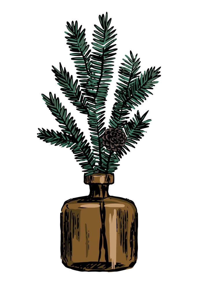 Sketch of glass vase with Christmas tree branches. Bouquet of fir tree twigs. Hand drawn illustration. Vintage floral clip art isolated on white. vector