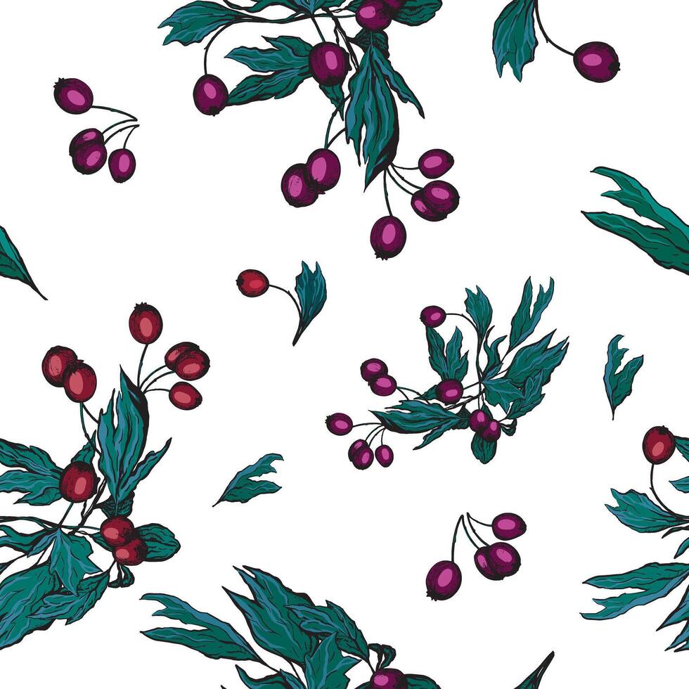 Rosehip branch hand drawn seamless pattern. Botanical ornament in sketch style. vector