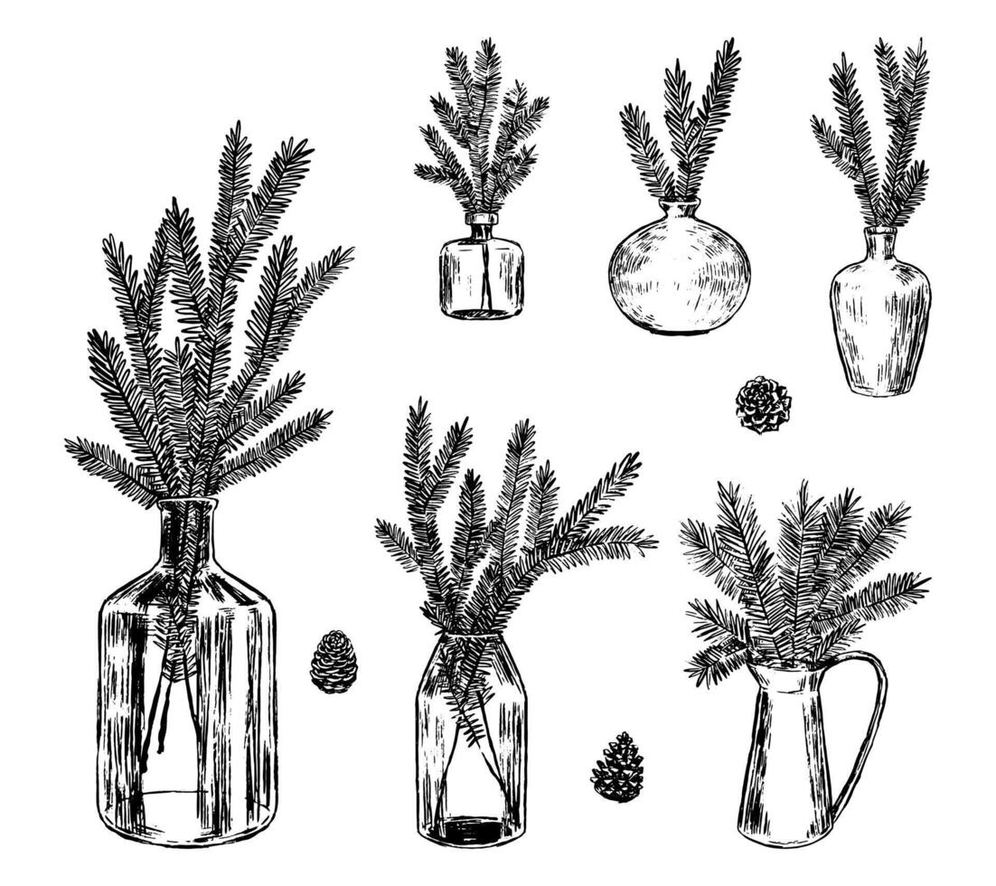 Sketch set of jars with fir tree branches and cones. Botanical collection of Christmas tree twigs in vases. Hand drawn illustrations isolated on white. vector