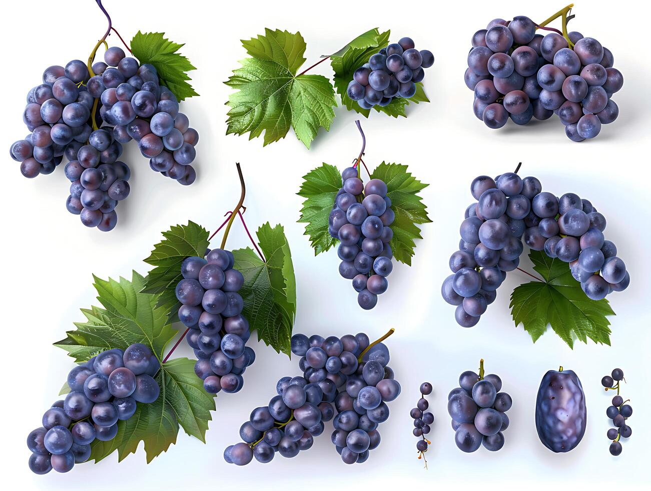 Set of ripe grapes with leaves in high resolution photo