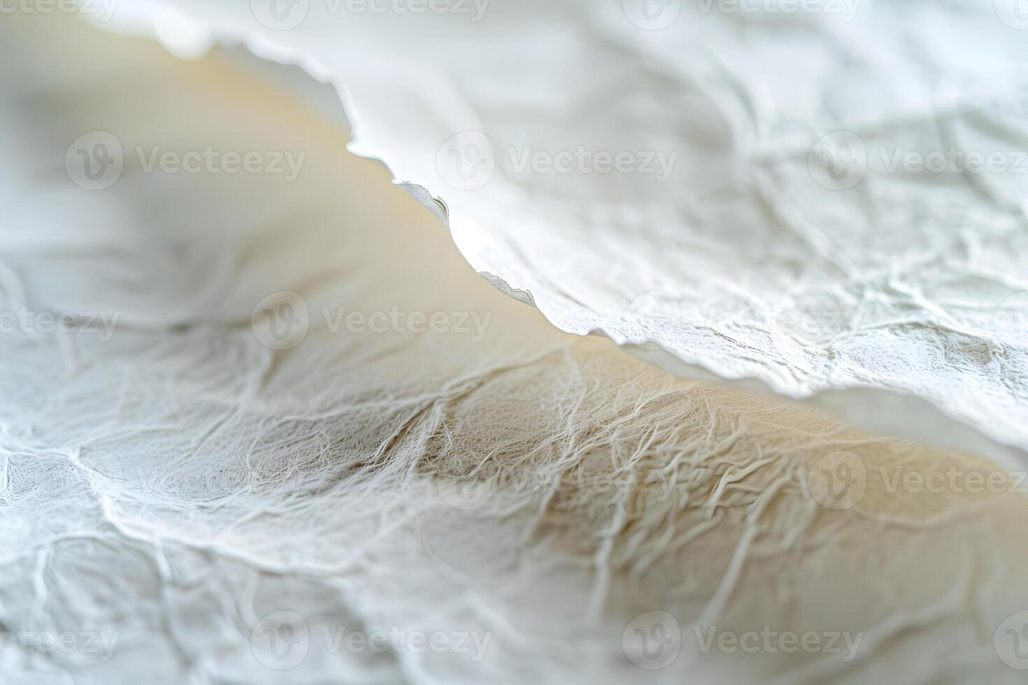A close up of a white piece of paper photo