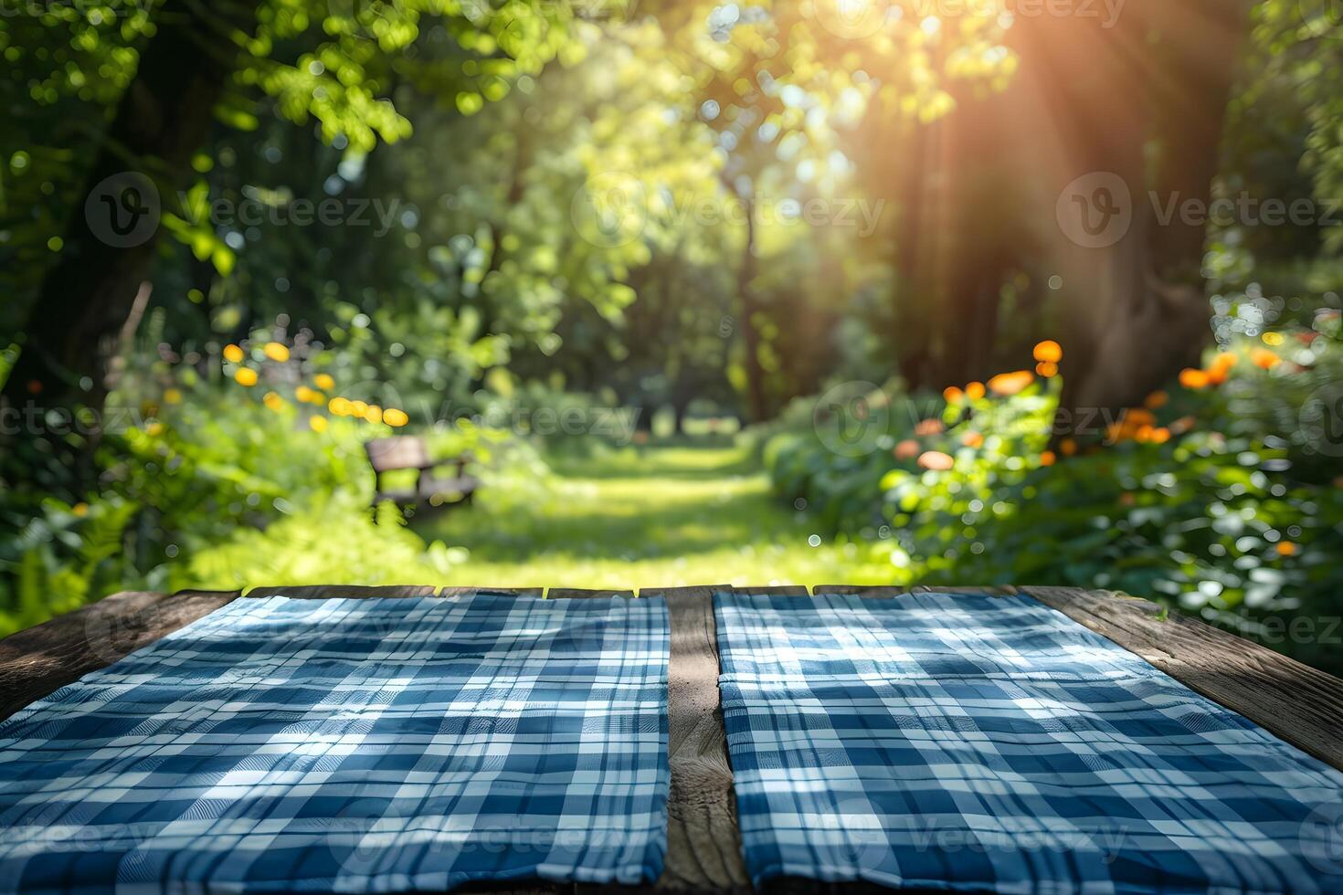 A close up of a picnic table with a blue and white checkered table cloth photo