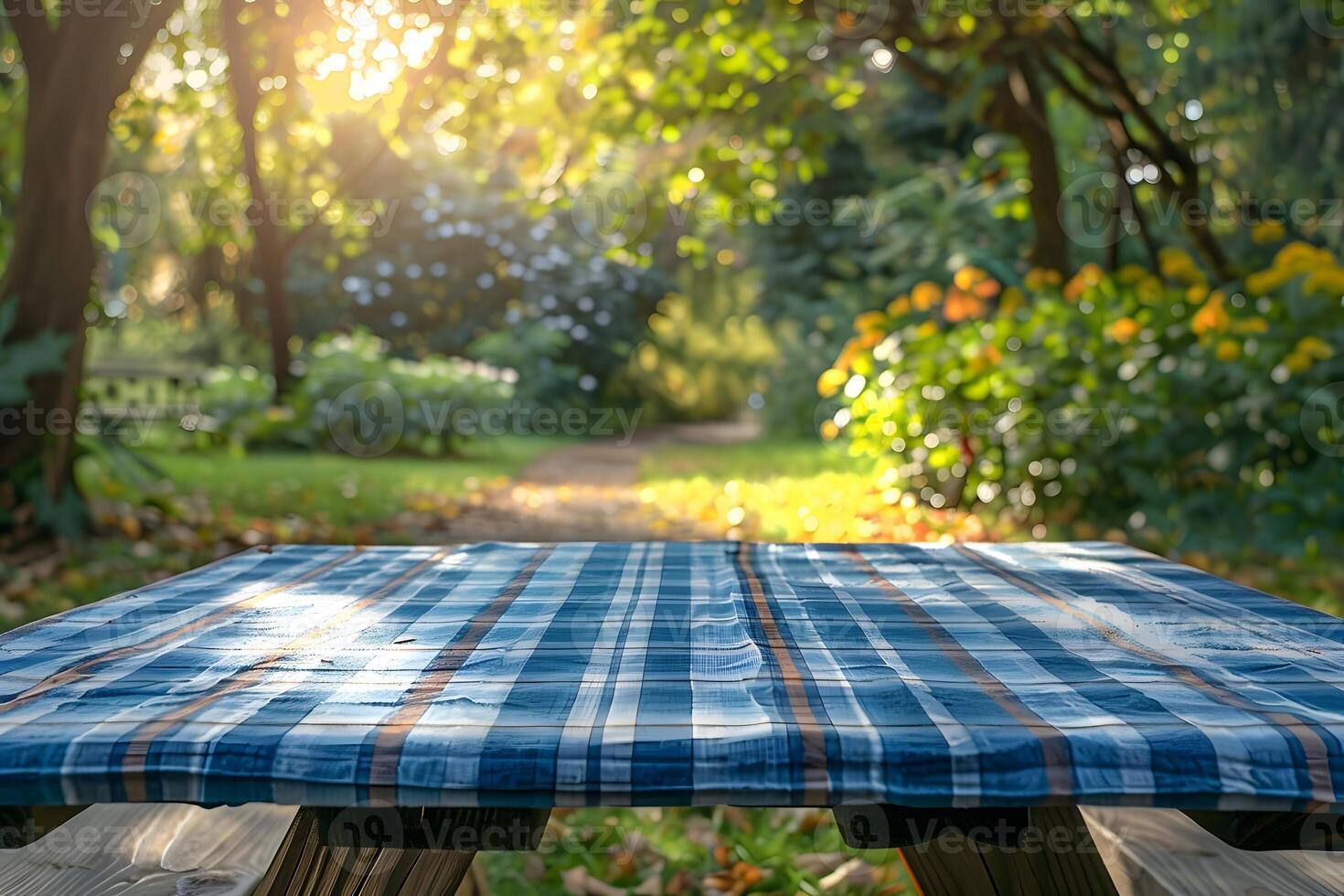 A close up of a picnic table with a plaid tablecloth on it photo