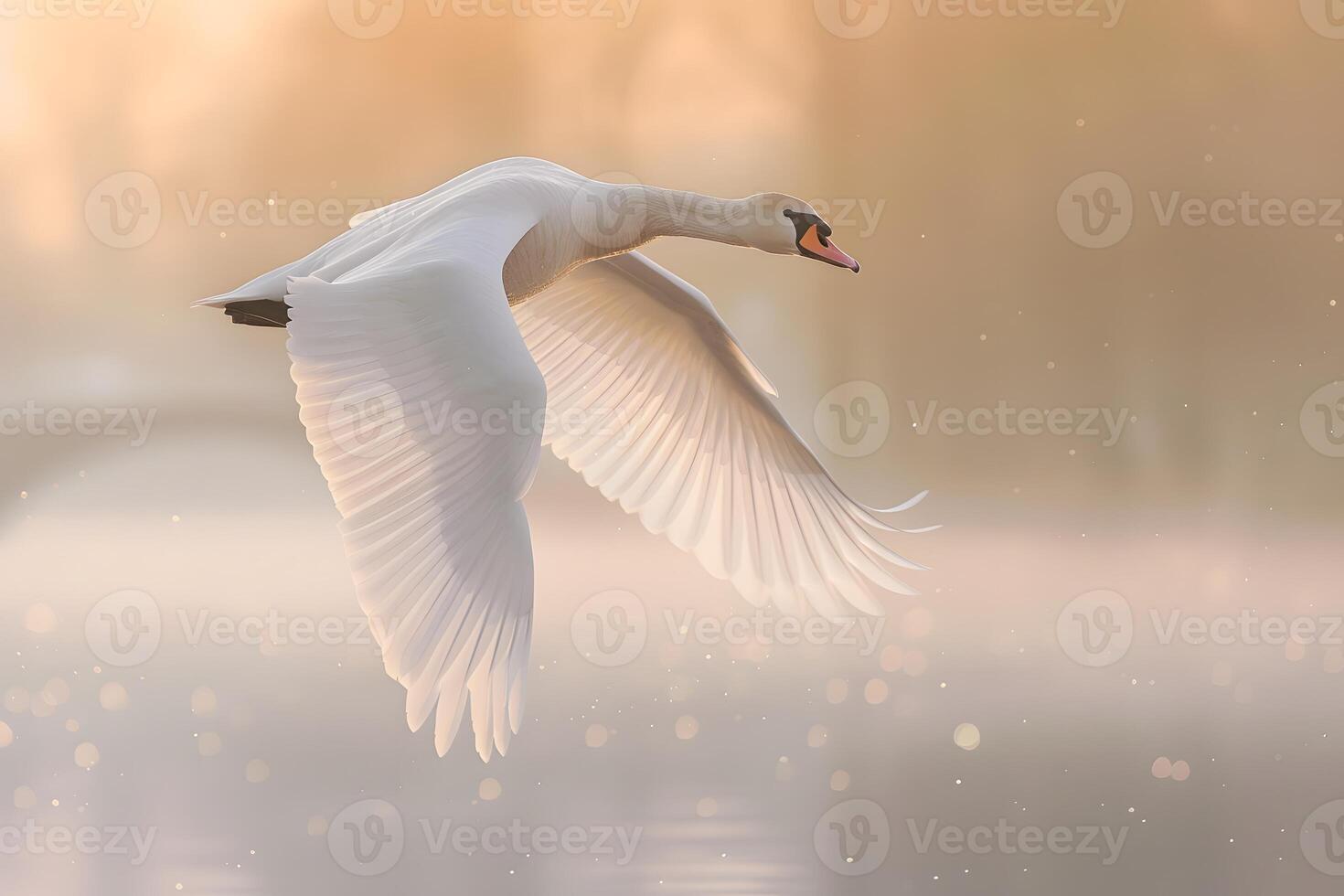 A white swan soaring above a lake photo