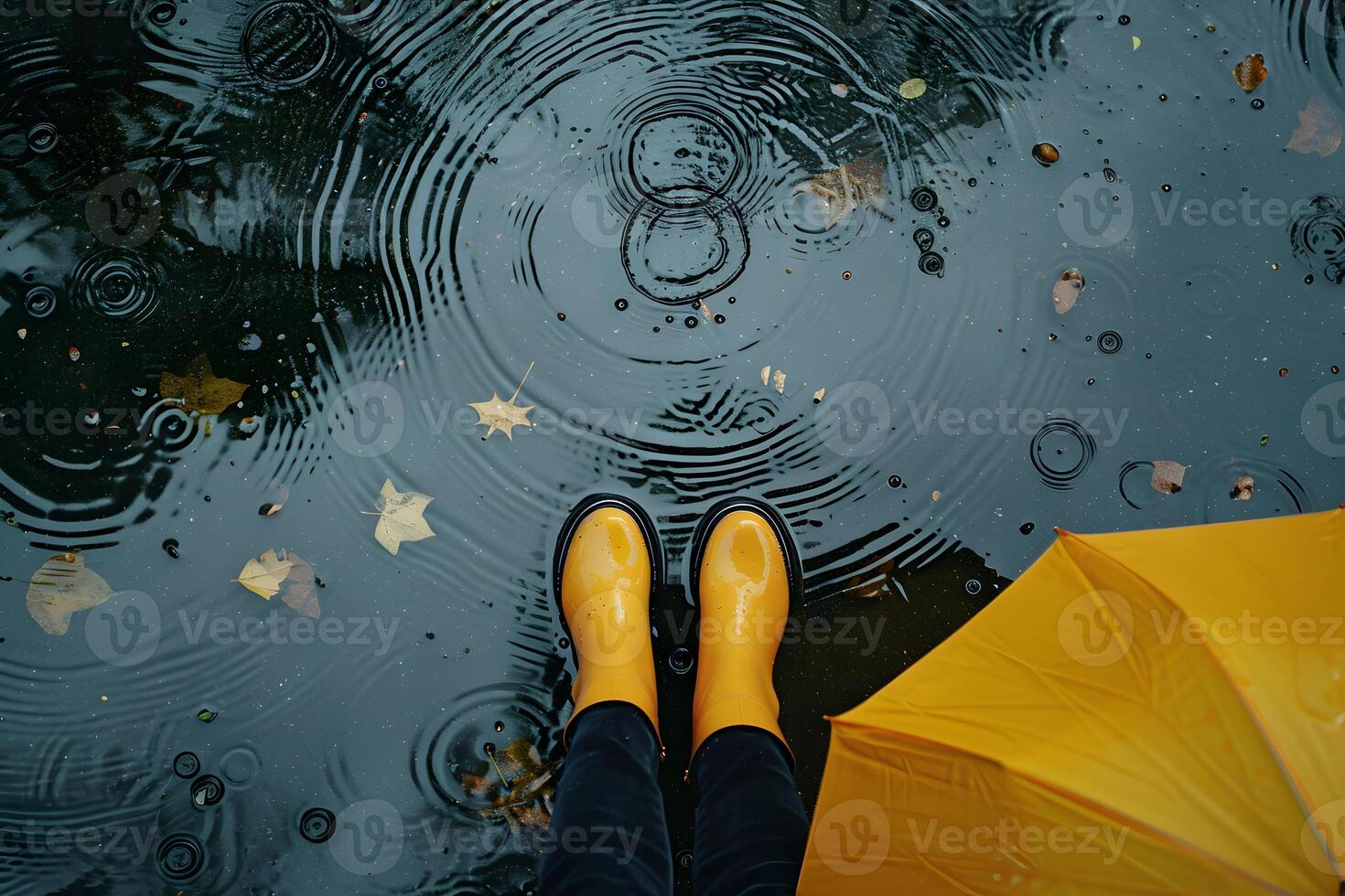 Giraffe standing in a puddle with an umbrella and yellow rain boots photo