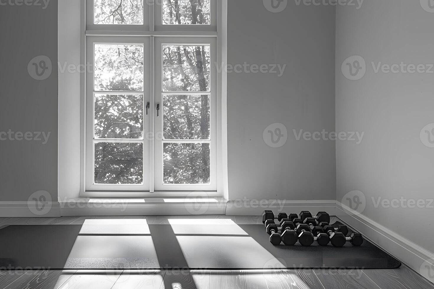 A room with a window and a mat holding a pair of shoes photo