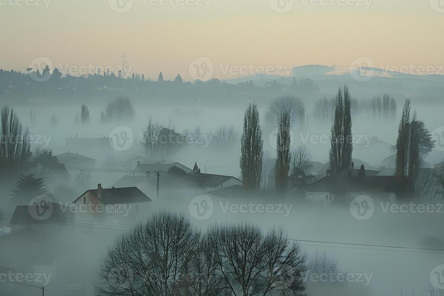 Foggy landscape with houses and trees in the foreground photo